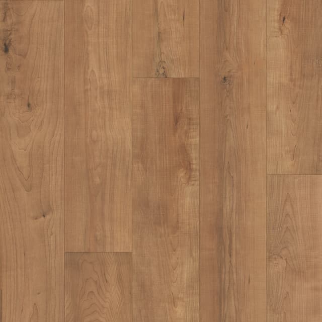 Laminate Restoration Collection® Harmony Bento 28642