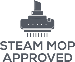 Steam Mop