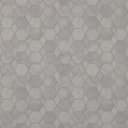 Sand Dollar Sand Dollar