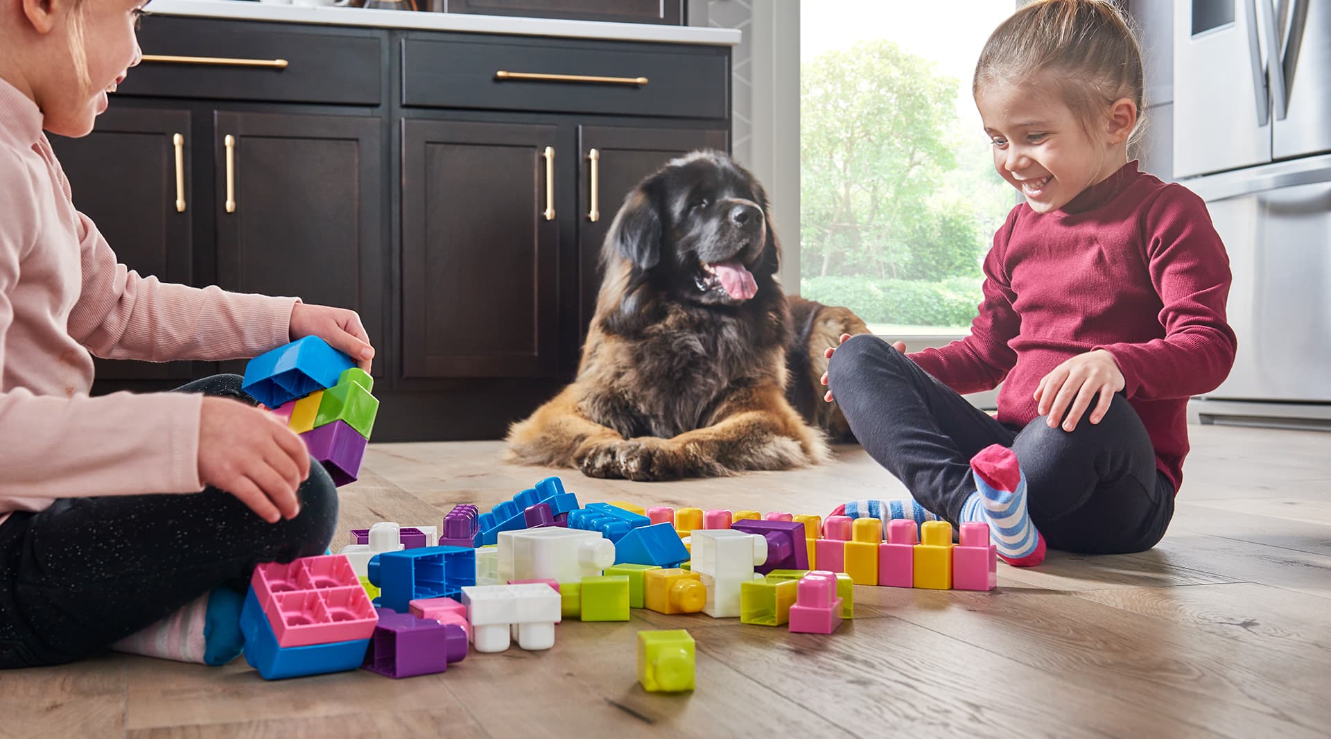 Kid and Pet Friendly Hero