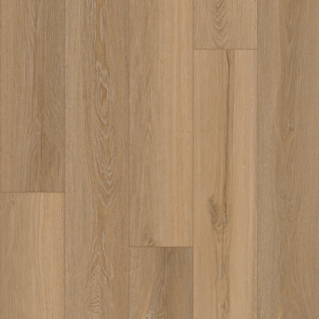 Laminate Restoration Collection® Everest Crest 31101