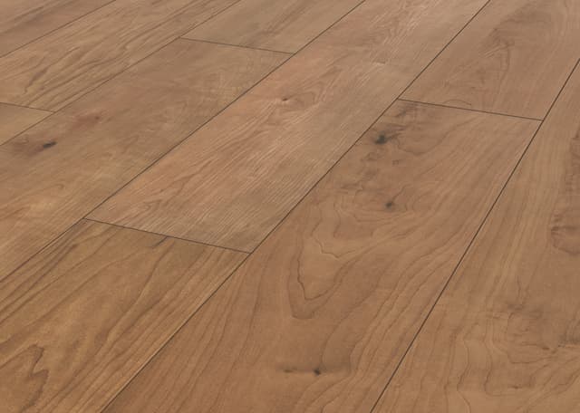 Laminate Restoration Collection® Harmony Bento 28642